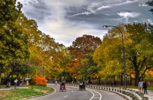 centralpark.com